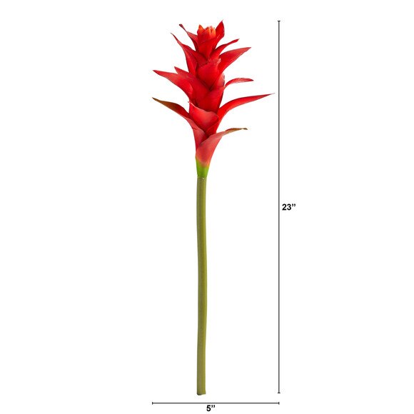 23 Star Bromeliad - SKU #2361 - 1
